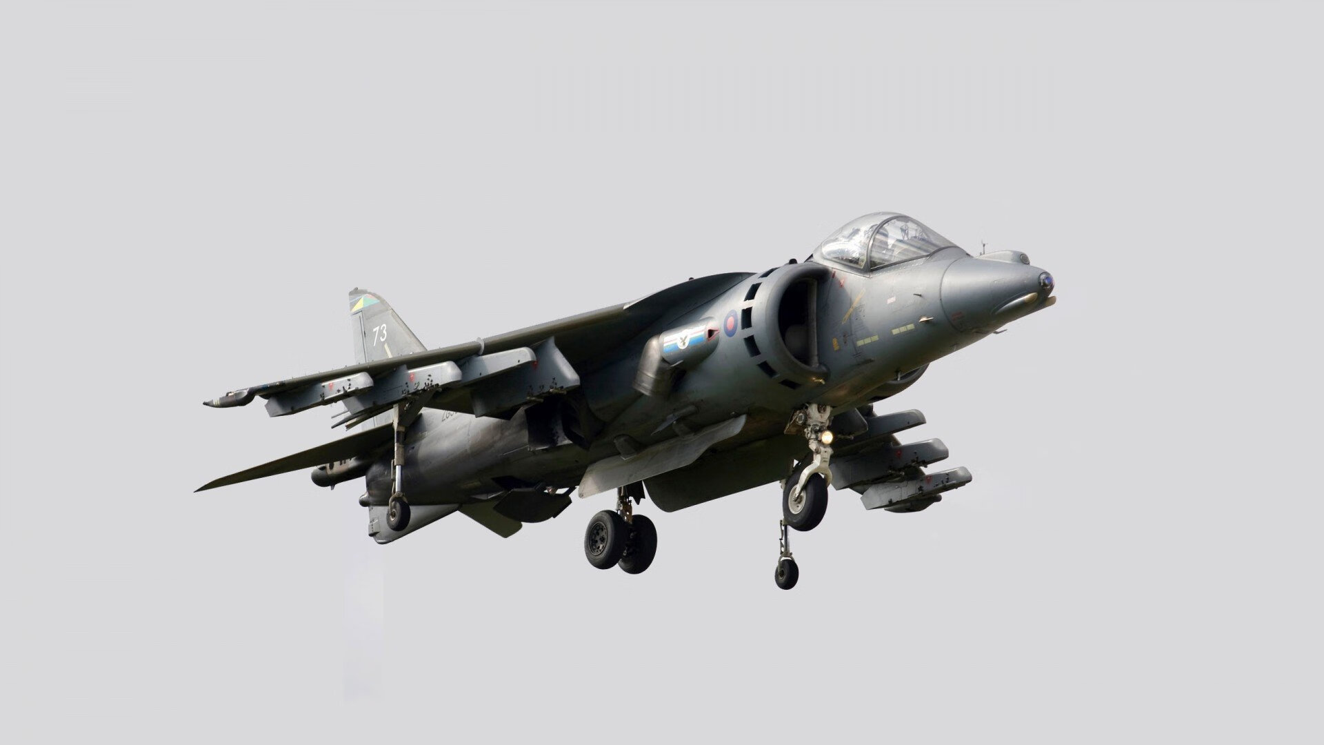 _中秋运动嘉年华:月光下的运动狂欢_,中秋运动会作文