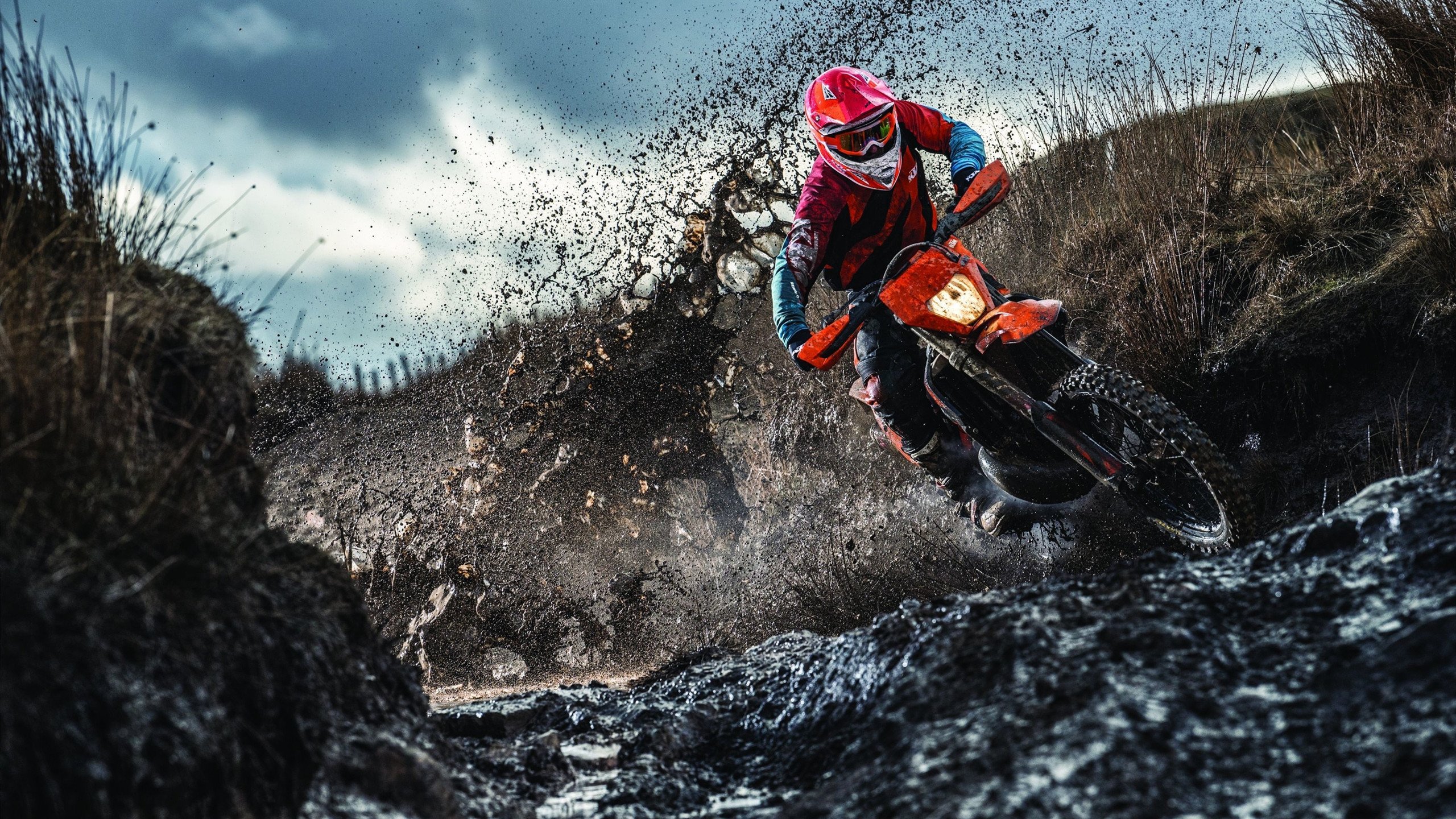 “伊万·戈梅斯的全能表现，帮助美洲狮队在全球橄榄球舞台崭露头角”