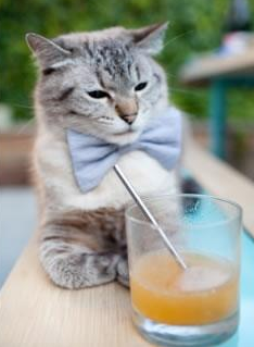 各地青少年足球联赛火热进行，挖掘潜力新星不断涌现，全国青少年足球